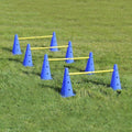 2 Cones With Holes + 1 Meter Pole