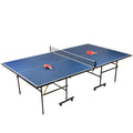 Ping Pong Table